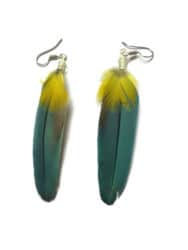 Amazon Feather Earrings